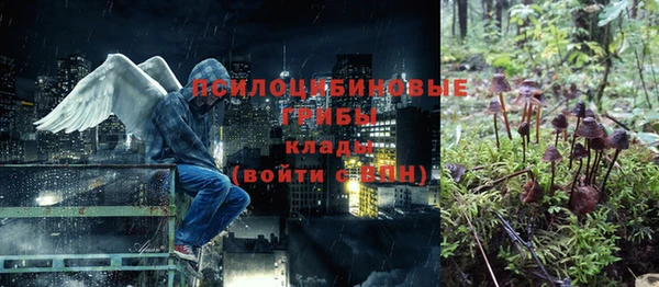 сатива Красноперекопск