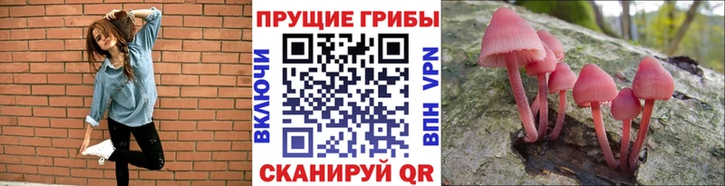 Псилоцибиновые грибы мицелий  Чегем 